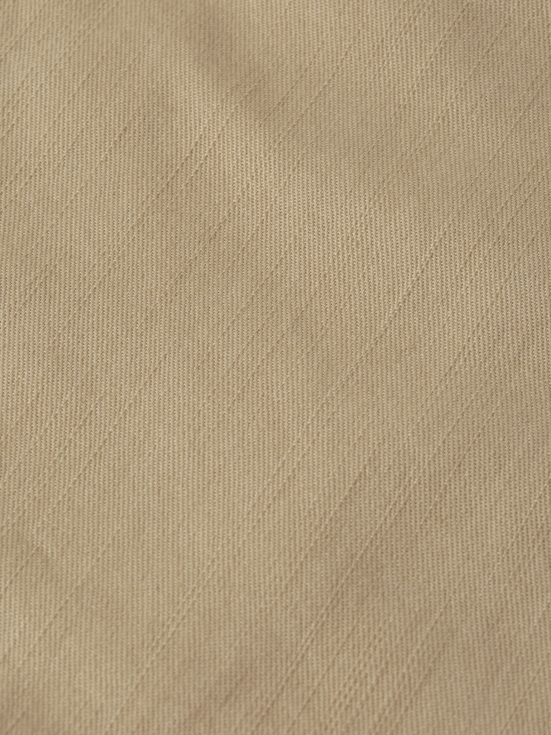 Harper garment-dyed twill cargo pant