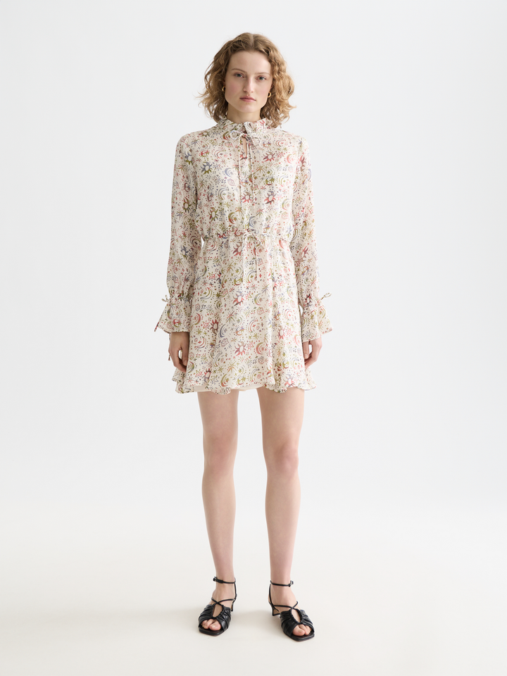 Printed Long Sleeve Mini Dress