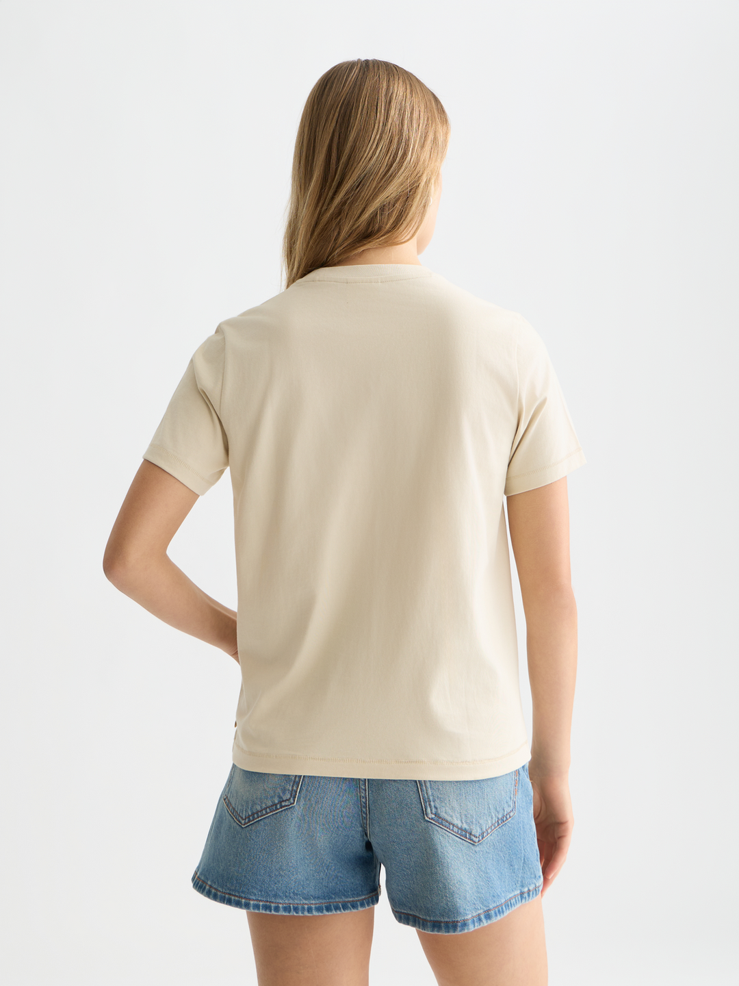 Embroidered artwork regular-fit T-shirt